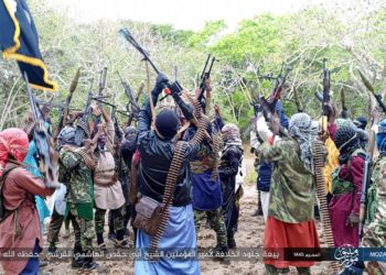 Monthly Counter-Terrorism Intelligence Brief for East and Central Africa (Somalia, Mozambique, DR-Congo, Tanzania, Uganda): Tracking Islamic State Terrorists For August 2023