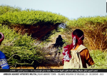 Monthly Counter-Terrorism Intelligence Brief for East Africa (Kenya & Somalia) Shabaab Al-Mujahideen in Period of December 1st – December 31st, 2023: Tracking and Monitoring Al-Shabaab’s Activity in East Africa