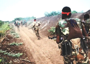 Weekly Security Counter-Terrorism Intelligence Review for East Africa (Kenya & Somalia) Shabaab Al-Mujahideen in Period of February 1st – February 15th, 2024: Tracking and Monitoring Al-Shabaab’s Activity in East Africa