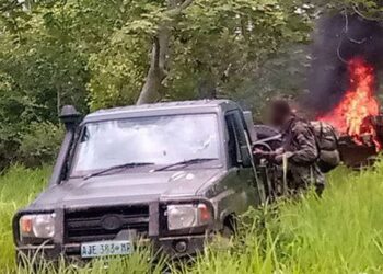 Bi-Weekly Counter-Terrorism Intelligence Brief for East and Central Africa (Somalia, Mozambique, and DR-Congo): Tracking Islamic State Terrorists Between 1st February to 17th February