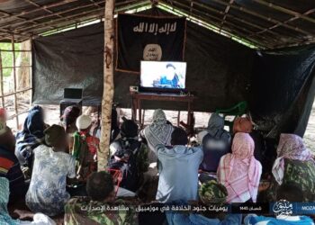 Weekly Security Assessment for Mozambique: New Leadership, Change in the Mode of Operation and International Support