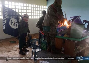 Monthly Counter-Terrorism Intelligence Brief for East and Central Africa (Somalia, Mozambique, and DR-Congo): Tracking Islamic State Terrorists in February 2024