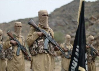 Monthly Counter-Terrorism Intelligence Brief for East and Central Africa (Somalia, Mozambique, and DR-Congo): Tracking Islamic State Terrorists in April 2024