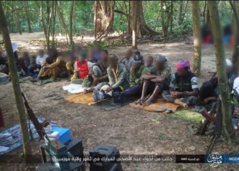 Monthly Counter-Terrorism Intelligence Brief for East and Central Africa (Somalia, Mozambique, and DR-Congo): Tracking Islamic State Terrorists in June 2024