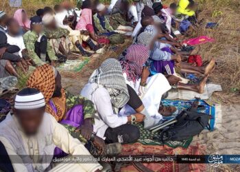 Monthly Counter-Terrorism Intelligence Brief for East and Central Africa (Somalia, Mozambique, and DR-Congo): Tracking Islamic State Terrorists for the Month of May 2025