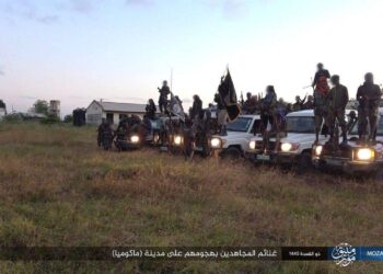 Monthly Counter-Terrorism Intelligence Brief for East and Central Africa (Somalia, Mozambique, and DR-Congo): Tracking Islamic State Terrorists for the Month of June 2025