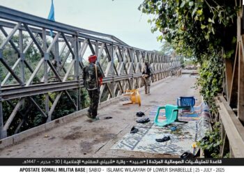 Monthly Counter-Terrorism Intelligence Review for East Africa (Kenya & Somalia) Shabaab Al-Mujahideen in Period of July1st – July 31st, 2025: Tracking and Monitoring Al-Shabaab’s Activity in East Africa